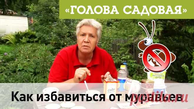 Голова садовая тетя таня Блог по вязанию для начинающих и опытных вязальщиц Ваш ресурс номер один для обучения вязанию спицами. Блог, посвященный бесплатным выкройкам, видео по вязанию, пряже и всему, что нужно для этого удивительного хобби.
