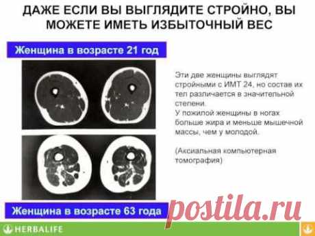 Семинар доктора Росио Медина «Сбалансированное питание для здорового и активного образа жизни»