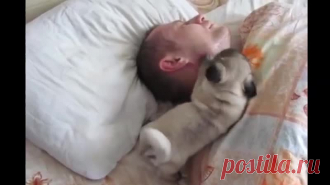 Самое доброе утро какое можно придумать!)))