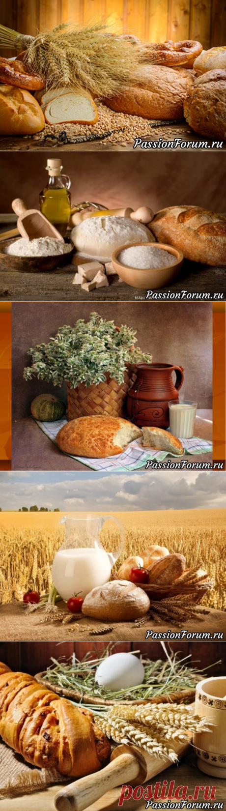 Натюрморты с хлебом.