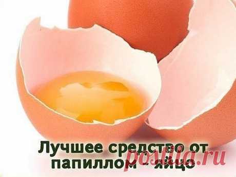 Лучшее средство по борьбе с папилломами - яйцо

Куриное яйцо помогает избавиться даже от многочисленных папиллом. Но его можно использовать только тем людям, которые не склонны к аллергическим реакциям. Наружное применение может спровоцировать аллергию даже в том случае, если вы без каких-либо проблем едите эти самые яйца. Если вы сомневаетесь, проведите тест – на небольшой участок кожи в области локтевого сгиба нанесите выбранное средство и оставьте на 10 минут. Если алле...