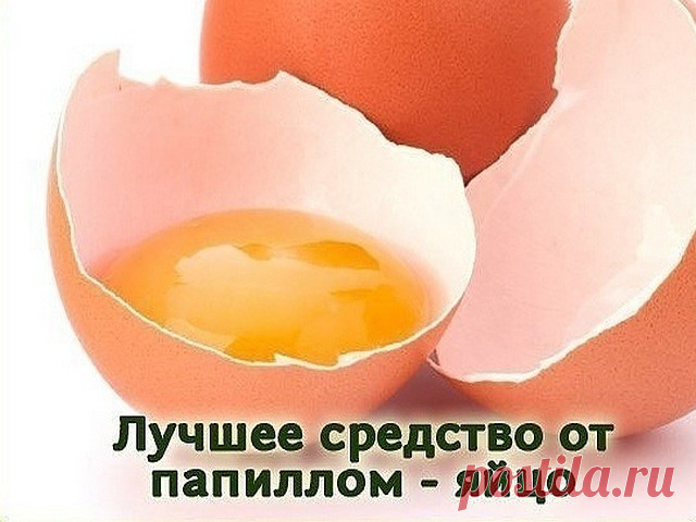 Лучшее средство по борьбе с папилломами - яйцо

Куриное яйцо помогает избавиться даже от многочисленных папиллом. Но его можно использовать только тем людям, которые не склонны к аллергическим реакциям. Наружное применение может спровоцировать аллергию даже в том случае, если вы без каких-либо проблем едите эти самые яйца. Если вы сомневаетесь, проведите тест – на небольшой участок кожи в области локтевого сгиба нанесите выбранное средство и оставьте на 10 минут. Если алле...