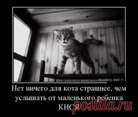 хх