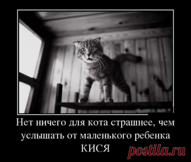 хх