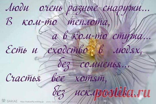 (53) Одноклассники