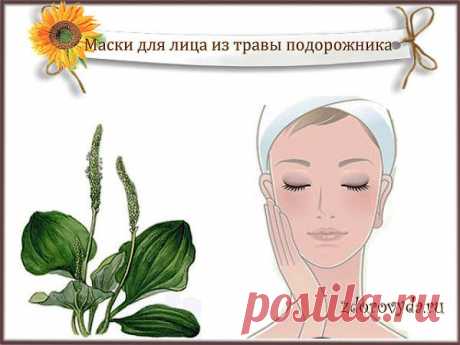 маски для лица из трав | Блог о красоте и здоровье