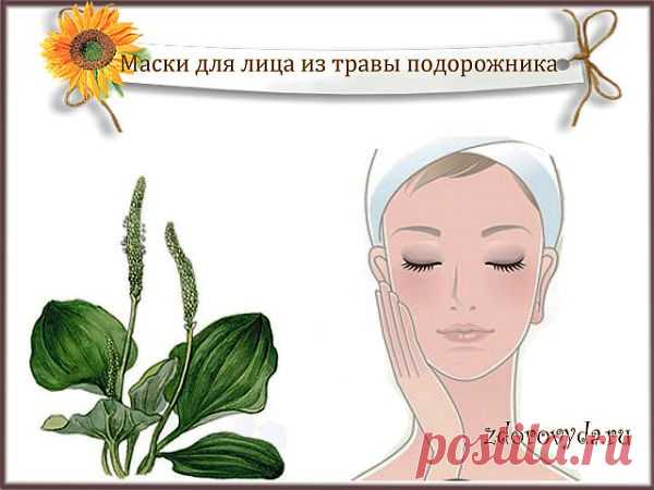 маски для лица из трав | Блог о красоте и здоровье