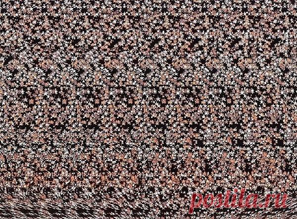 (3) Одноклассники