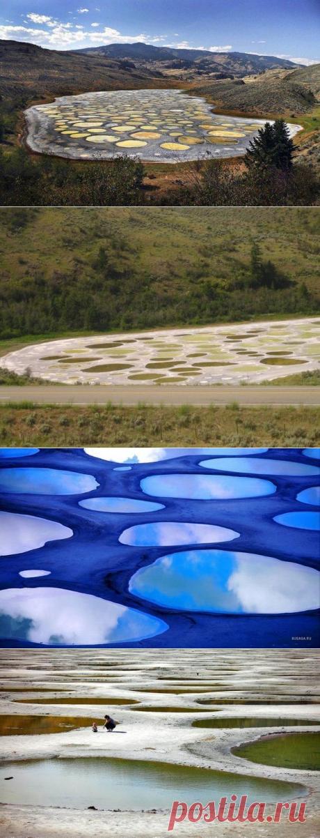 Пятнистое озеро