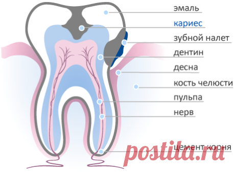 Терапевтическое лечение | Zdorovie-L