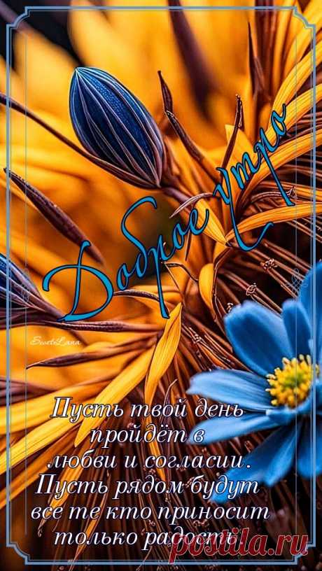 С добрым утром