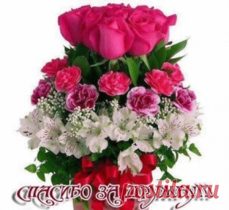 Одноклассники