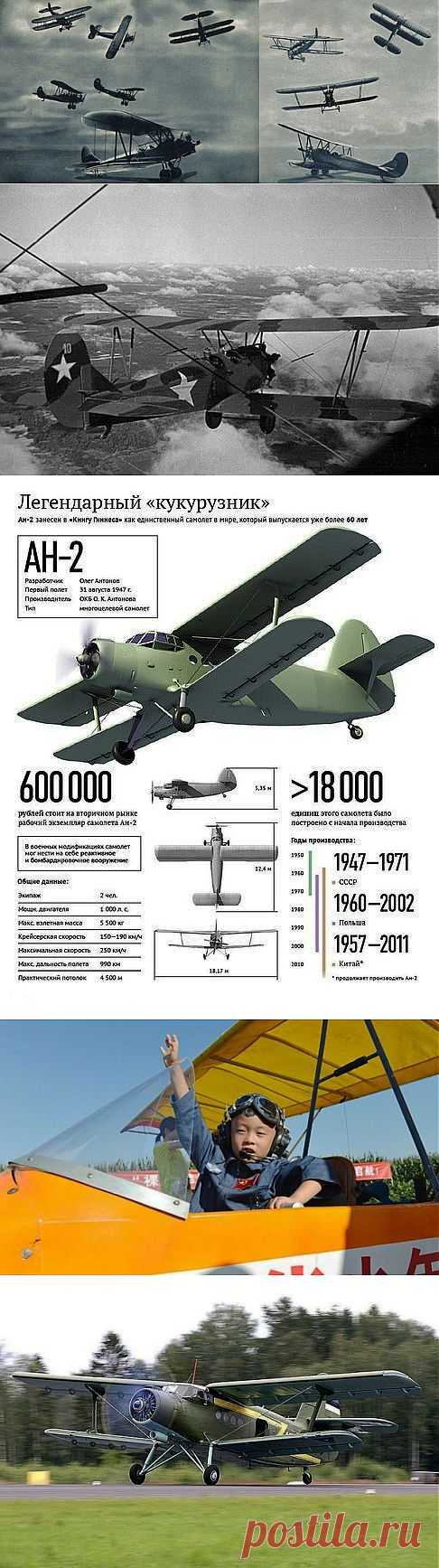 «Кукурузник» - легенда советской авиации / Назад в СССР / Back in USSR