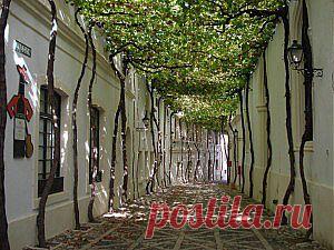 Уютные городские улицы со всего мира