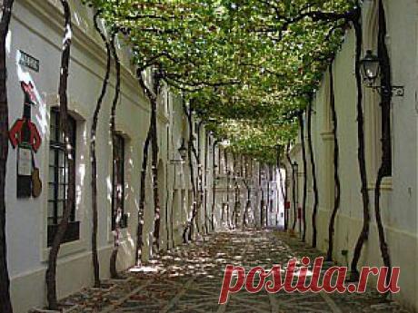 Уютные городские улицы со всего мира