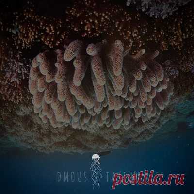 DMOUS – Take Me Deep (Extended Mix)