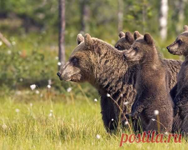 Современная женщина