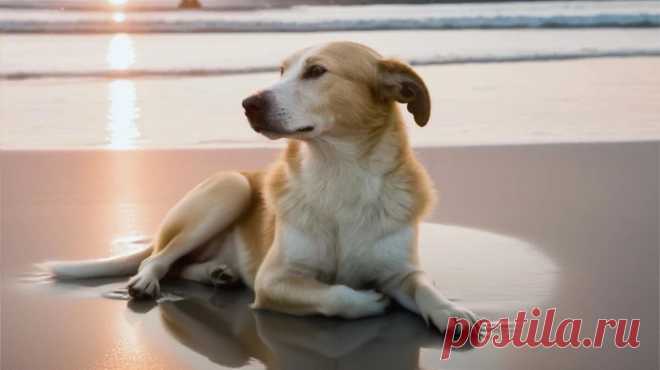 Ожидание - OGADANIE.RU