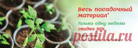 Почта Mail.Ru