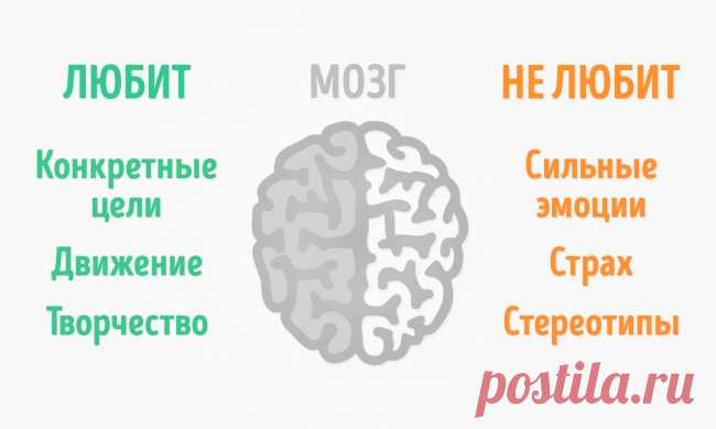 Что ваш мозг обожает, и чего он терпеть не может