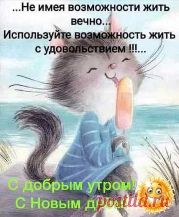 Выпуск №6317 - выпуск анекдотов сайта вокруг смеха