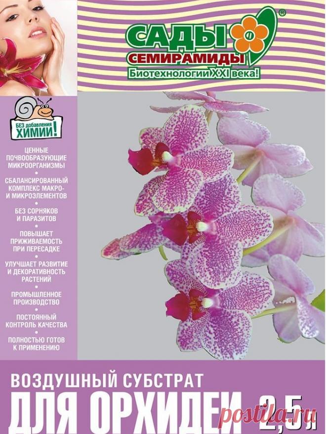 Какой грунт для орхидей лучше купить или сделать самостоятельно (рецепты)