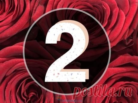 Нумерологический прогноз на 2020 год: Что ждет вас согласно вашей дате рождения :: Инфониак