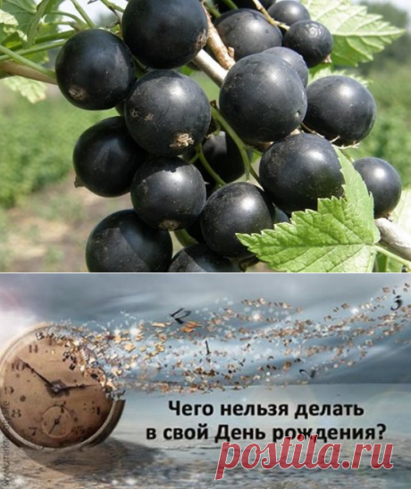 2 непрочитанных чата