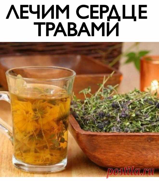 ЛЕЧИМ СЕРДЦЕ ТРАВАМИ 
 
При гипертонии 
 
- 2 раза в день съедайте по 1 ч.л. измельченных семян укропа. Забудете о проблемах с давлением. 
 
При атеросклерозе 
 
- 1 стол.лож. измельченных корней одуванчика залить стаканом кипятка, процедить. Принимать по 1/4 стакана 3-4 раза в день за 30 минут до еды. 
 
При сердечной недостаточности 
 
- 1 ч.л. травы желтушника залить 0,5 стакана кипятка, настаивать 2 часа. Принимать по 1 ст.лож. настоя 3 раза в день в течение 20 дней. 
...