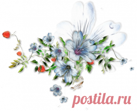 разные красивые элементы для оформления на прозрачном фоне: 13 тыс изображений найдено в Яндекс.Картинках