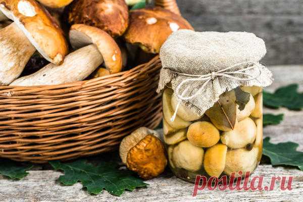 Готовим грибы - боровики и грузди, на ужин и на зиму. Рецепты