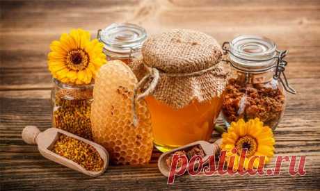 Интересные факты о меде