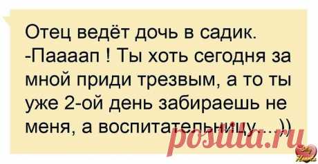 Анекдоты дня