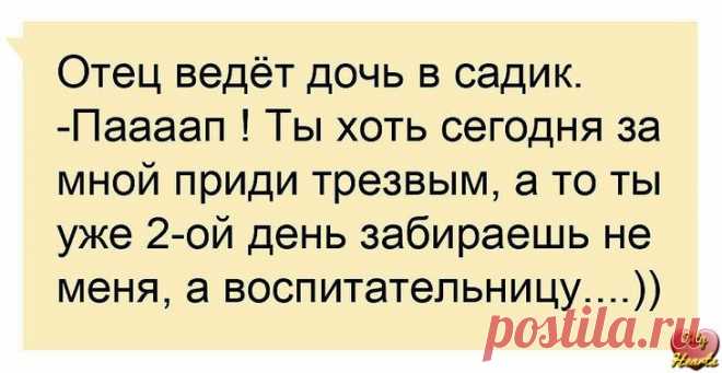Анекдоты дня