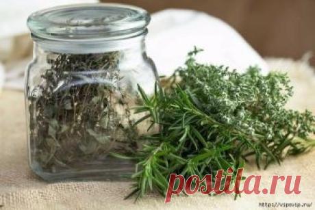 Средства для улучшения работы сосудов.