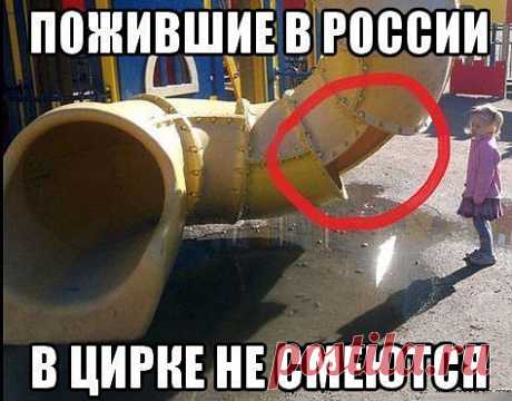 Ольга Богомолова