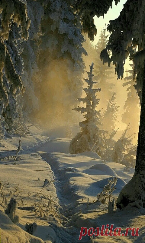 Google+