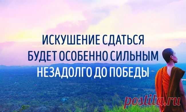 Дзен-мудрости пост
