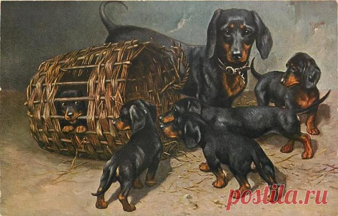 ~ MON PLAISIR ~ Вещи для души. Винтаж,Прованс.