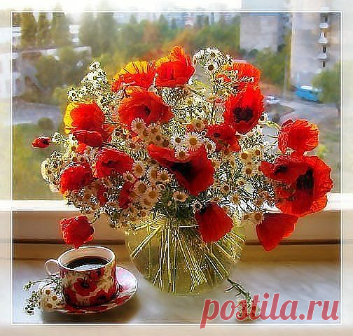 (49) Одноклассники