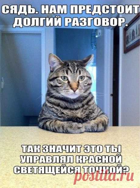 28 котошуток и котоприколов в картинках, которые повеселят все любителей пушистиков и не только Котики, их забавное поведение и милые шалости — бесконечный источник позитива для нас. Мы заботимся о своих пушистых любимцах, любуемся ими и шутим про них, а они нас радуют день за днем. И мы не знае...