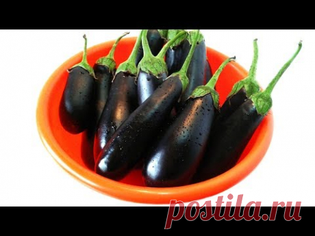 Баклажаны Малосольные Быстрый Посол без Рассола и Уксуса