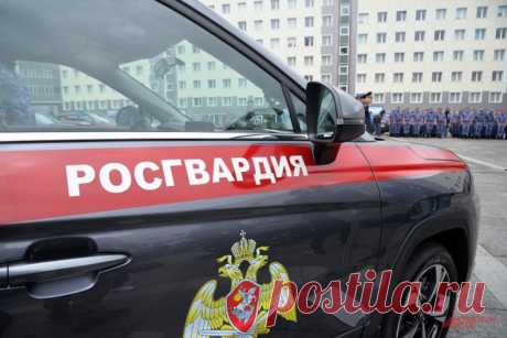 Госдума в первом чтении приняла законопроект о добровольцах Росгвардии. Они будут иметь те же льготы, что и добровольцы Минобороны.