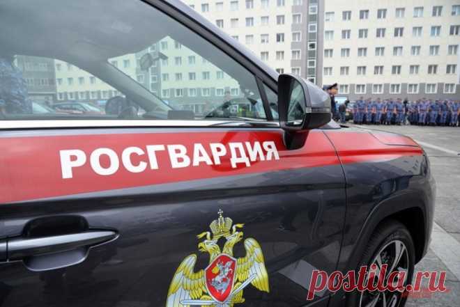 Госдума в первом чтении приняла законопроект о добровольцах Росгвардии. Они будут иметь те же льготы, что и добровольцы Минобороны.