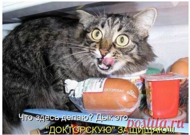 Мой Мир@Mail.Ru