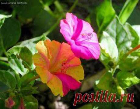 Отличные советы по уходу за домом