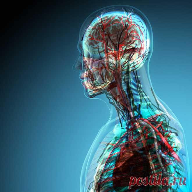 Простые упражнение для улучшения работы сердца и мозга