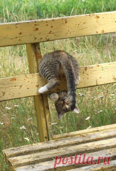 Упражнение на брусьях