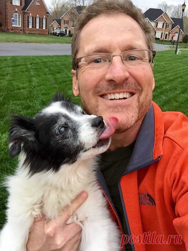 Папы, которые запрещали приводить в дом собаку / Питомцы