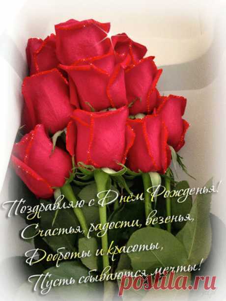 Алые розы для ценителей красоты